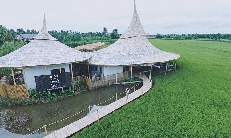 เช็คอินลงโซเชียลก่อนใคร ที่ Chata Thammachart คาเฟ่เปิดใหม่ นครปฐม